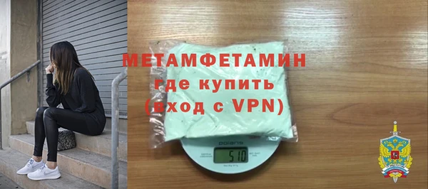 прущие грибы Верхний Тагил