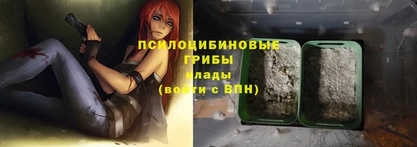 прущие грибы Верхний Тагил