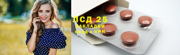 прущие грибы Верхний Тагил