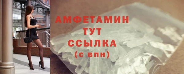 прущие грибы Верхний Тагил