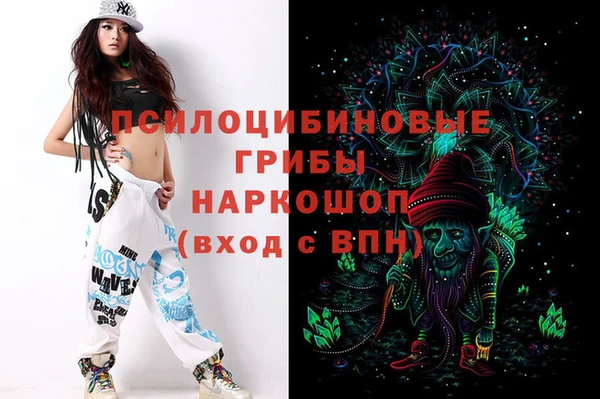 прущие грибы Верхний Тагил