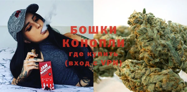 прущие грибы Верхний Тагил