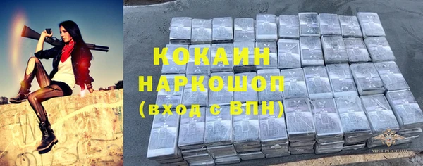 прущие грибы Верхний Тагил