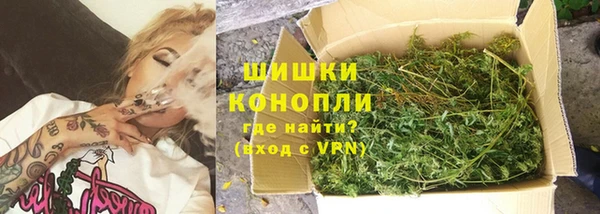прущие грибы Верхний Тагил