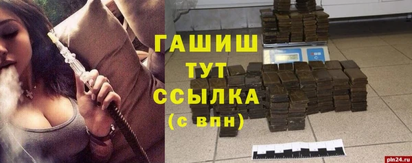 прущие грибы Верхний Тагил